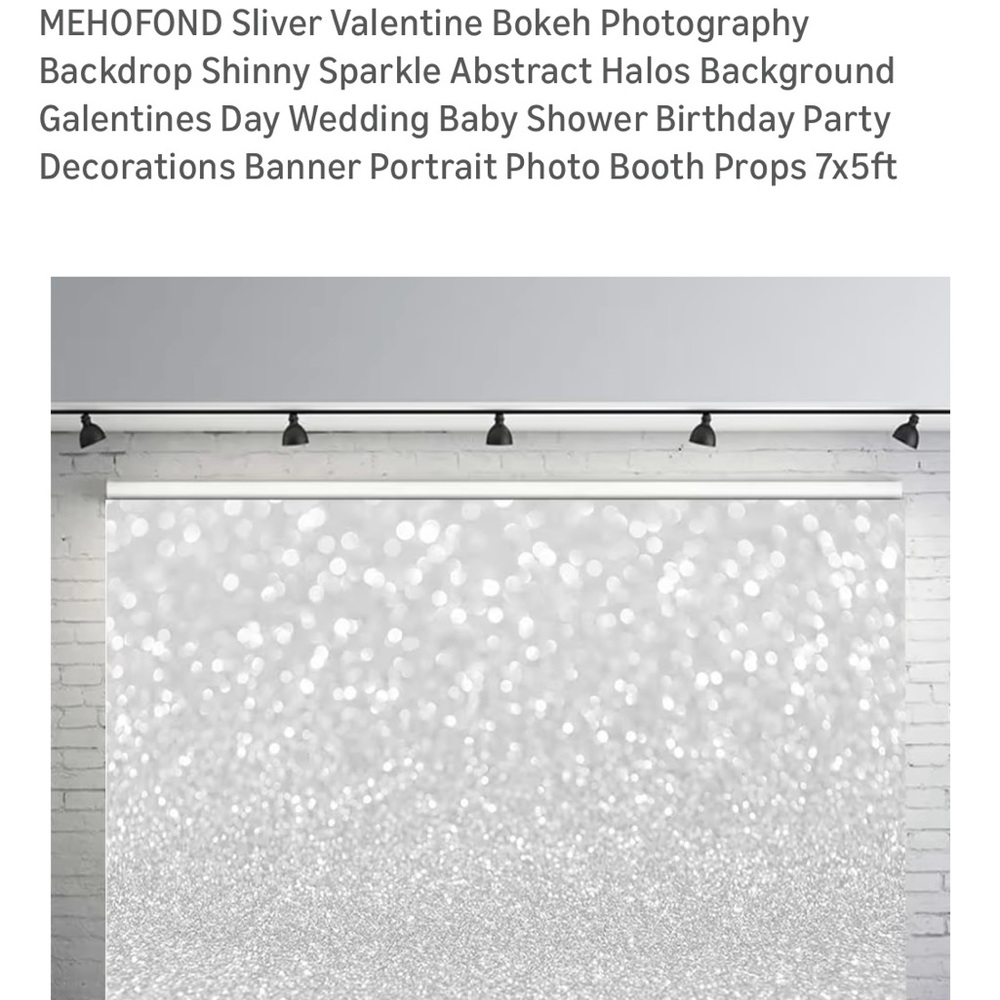Silver Sparkle Photography Backdrop